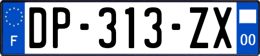 DP-313-ZX