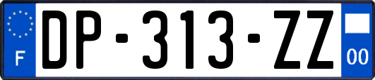 DP-313-ZZ