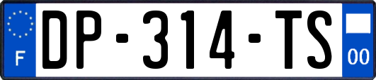 DP-314-TS