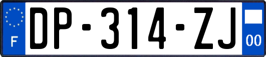 DP-314-ZJ