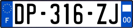 DP-316-ZJ