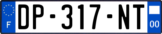 DP-317-NT