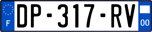 DP-317-RV