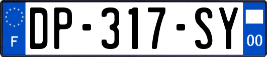 DP-317-SY