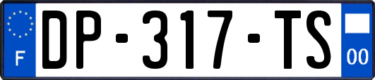 DP-317-TS