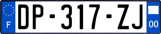 DP-317-ZJ