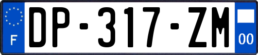 DP-317-ZM