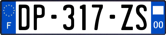 DP-317-ZS