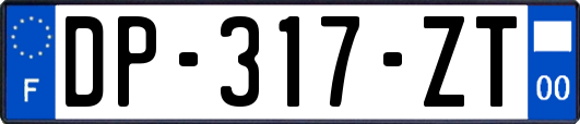 DP-317-ZT