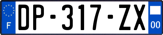 DP-317-ZX