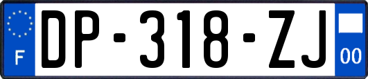 DP-318-ZJ