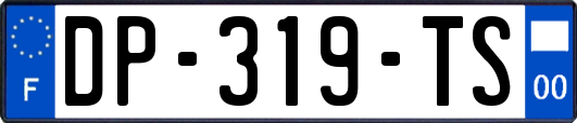 DP-319-TS