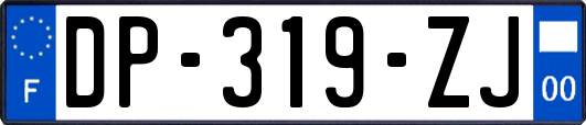 DP-319-ZJ