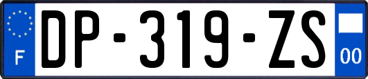 DP-319-ZS