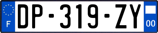 DP-319-ZY