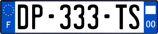 DP-333-TS