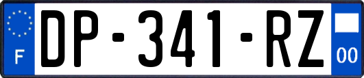 DP-341-RZ
