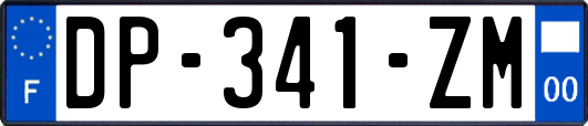 DP-341-ZM