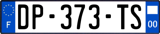 DP-373-TS