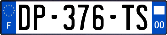 DP-376-TS