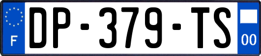 DP-379-TS