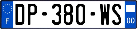 DP-380-WS