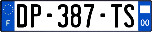 DP-387-TS