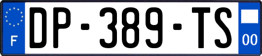 DP-389-TS