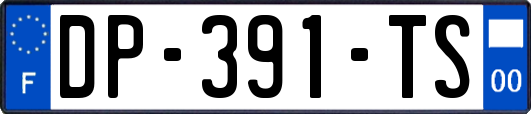 DP-391-TS