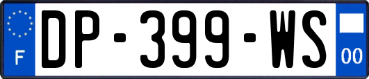 DP-399-WS