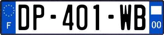 DP-401-WB