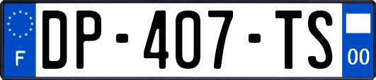 DP-407-TS