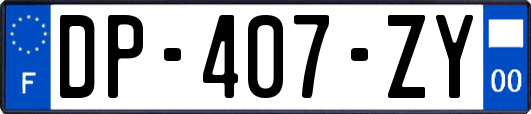 DP-407-ZY