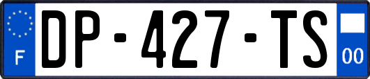 DP-427-TS