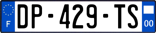 DP-429-TS