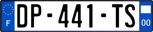 DP-441-TS