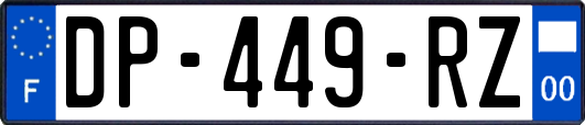 DP-449-RZ