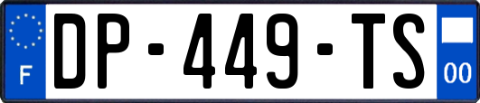 DP-449-TS