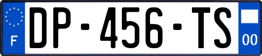 DP-456-TS