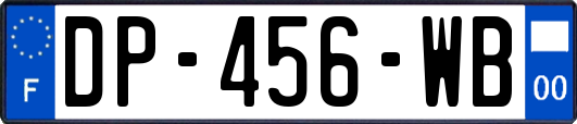 DP-456-WB