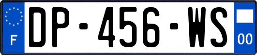 DP-456-WS