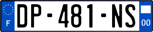 DP-481-NS