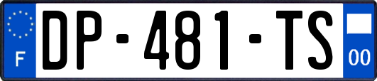 DP-481-TS