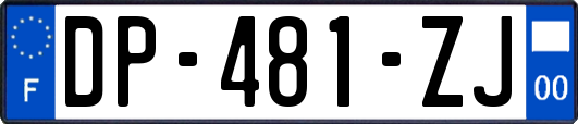 DP-481-ZJ