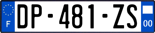 DP-481-ZS