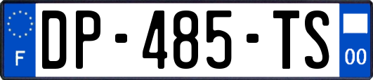 DP-485-TS