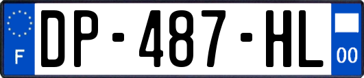 DP-487-HL