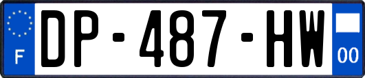 DP-487-HW