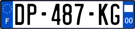 DP-487-KG