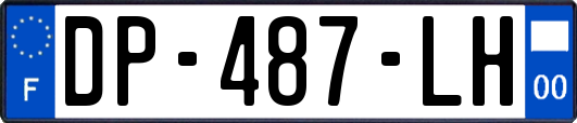 DP-487-LH